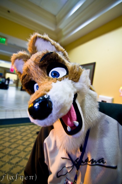 Megaplex2011_92