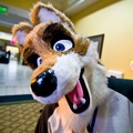 Megaplex2011_92