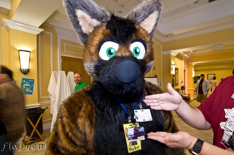 Megaplex2011_64