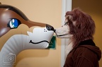 char-megaplex-2011-9