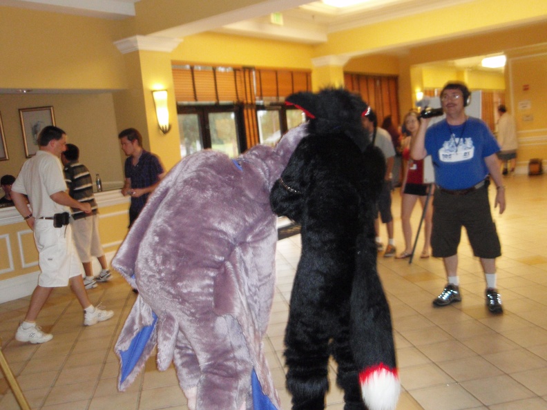 flickr-15064198042.jpg