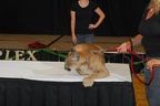 Care_Presentation-52