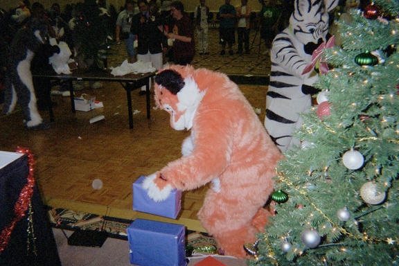 IMG012