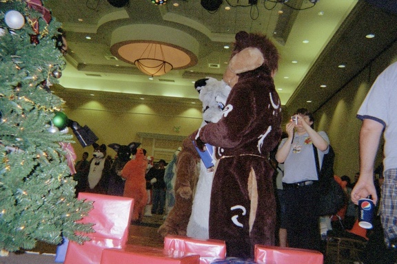 IMG011