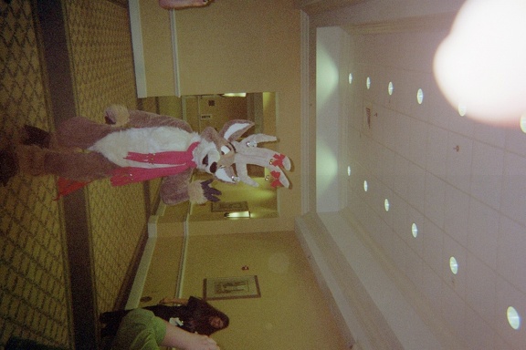IMG010