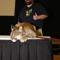 Megaplex Web 97
