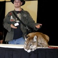 Megaplex Web 94
