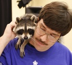 Megaplex Web 89