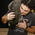Megaplex Web 87