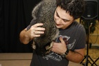 Megaplex Web 87