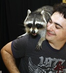 Megaplex Web 86