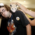 Megaplex Web 83