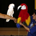 Megaplex Web 81