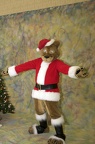 Megaplex Web 76