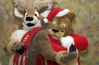 Megaplex Web 74