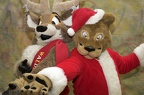 Megaplex Web 73
