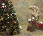 Megaplex Web 72