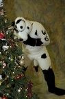 Megaplex Web 69