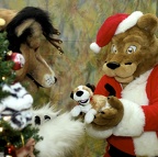 Megaplex Web 68