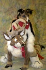 Megaplex Web 67