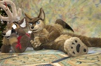 Megaplex Web 58