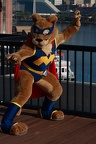 Cryptowolf_MP2008_0002
