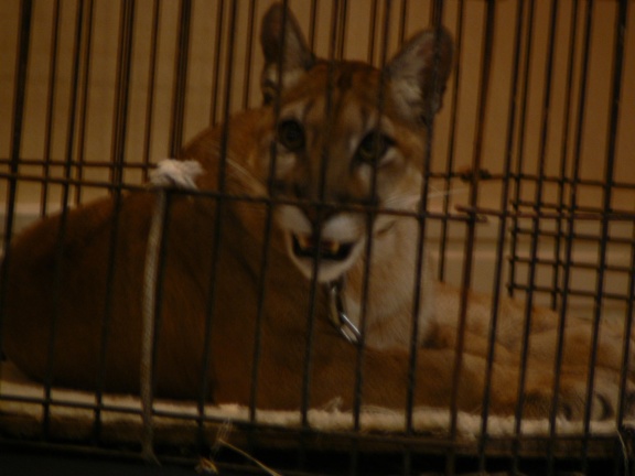 P1010341