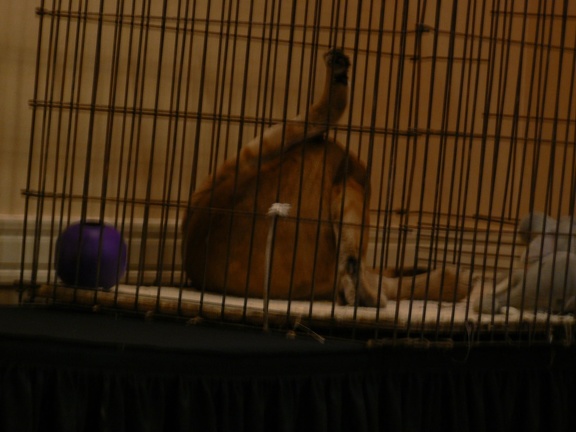 P1010340