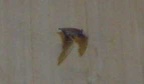 Dscn0782