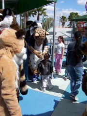 Bungee-100_5376