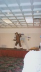 Wolfpac_MP2002_29